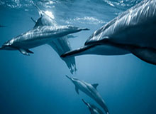 爱游戏体育：让热爱成为生活方式的全新旅程